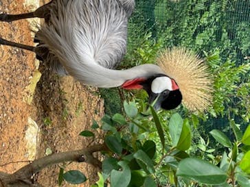 美らヤシパークオキナワ・東南植物楽園に投稿された画像（2020/7/3）