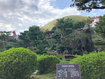 伊豆シャボテン動物公園に投稿された画像（2020/7/3）