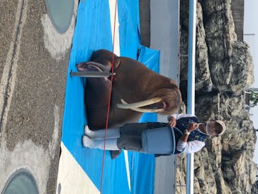 大分マリーンパレス水族館 「うみたまご」に投稿された画像（2020/7/4）