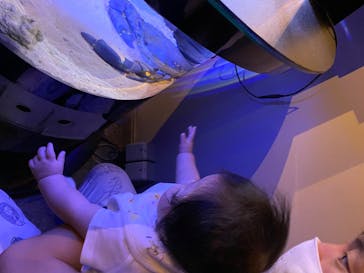 登別マリンパークニクスに投稿された画像（2020/7/4）