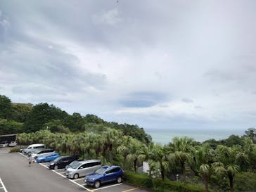 熱川バナナワニ園に投稿された画像（2020/7/4）