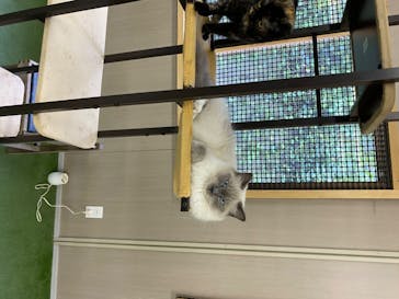 しろとり動物園に投稿された画像（2020/7/4）