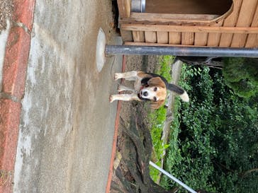 しろとり動物園に投稿された画像（2020/7/4）