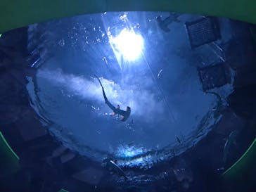 四国水族館に投稿された画像（2020/7/4）