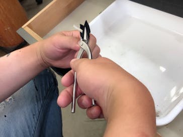 Caravella（カラベラ）に投稿された画像（2020/7/4）