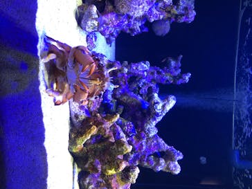 四国水族館に投稿された画像（2020/7/4）