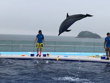 四国水族館に投稿された画像（2020/7/4）