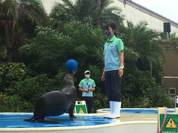 サンシャイン水族館に投稿された画像（2020/7/4）
