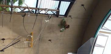 旭川市旭山動物園に投稿された画像（2020/7/4）