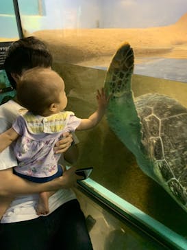 マリンワールド海の中道に投稿された画像（2020/7/4）