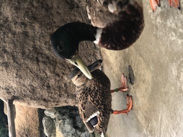 神戸どうぶつ王国に投稿された画像（2020/7/4）