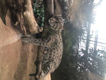 神戸どうぶつ王国に投稿された画像（2020/7/4）