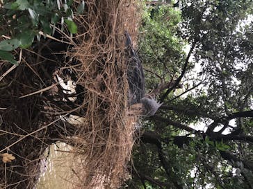 神戸どうぶつ王国に投稿された画像（2020/7/4）