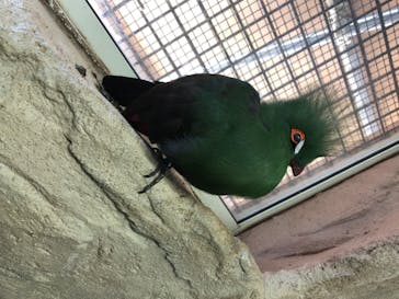 那須どうぶつ王国に投稿された画像（2020/7/5）