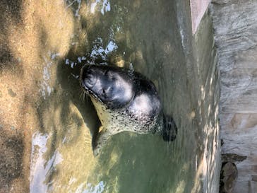 那須どうぶつ王国に投稿された画像（2020/7/5）