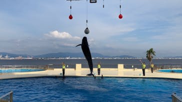マリンワールド海の中道に投稿された画像（2020/7/5）