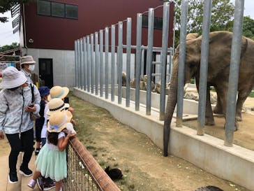 しろとり動物園に投稿された画像（2020/7/5）
