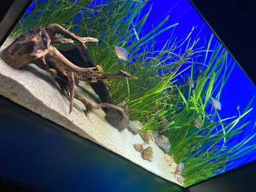 サンシャイン水族館に投稿された画像（2020/7/5）