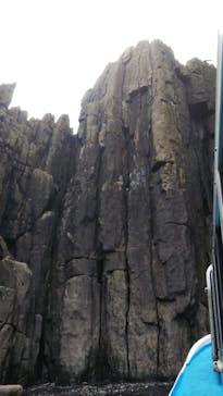 東尋坊観光遊覧船株式会社に投稿された画像（2020/7/5）