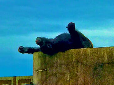 伊豆シャボテン動物公園に投稿された画像（2020/7/5）