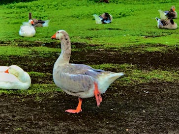 伊豆シャボテン動物公園に投稿された画像（2020/7/5）