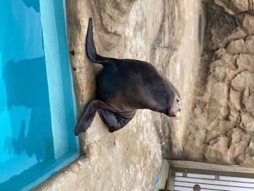 マリンワールド海の中道に投稿された画像（2020/7/5）