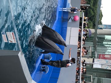 大分マリーンパレス水族館 「うみたまご」に投稿された画像（2020/7/5）