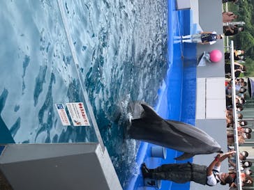 大分マリーンパレス水族館 「うみたまご」に投稿された画像（2020/7/5）