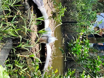 神戸どうぶつ王国に投稿された画像（2020/7/5）