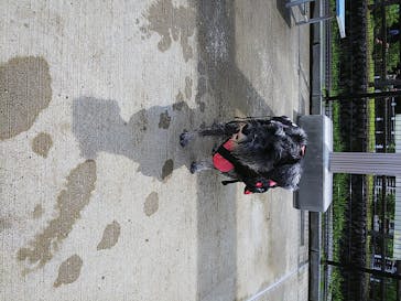 わんダフルネイチャーヴィレッジに投稿された画像（2020/7/5）