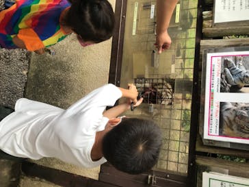 群馬サファリパークに投稿された画像（2020/7/5）