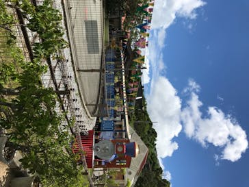 沖縄こどもの国に投稿された画像（2020/7/5）