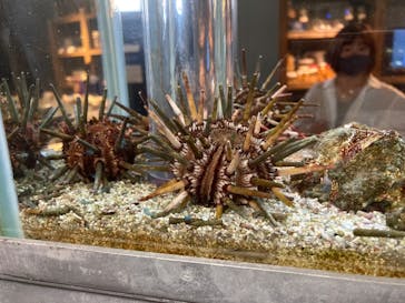 鳥羽水族館に投稿された画像（2020/7/4）