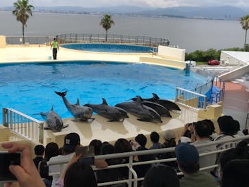 マリンワールド海の中道に投稿された画像（2020/7/5）