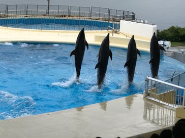 マリンワールド海の中道に投稿された画像（2020/7/5）