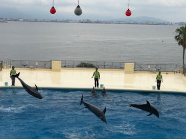 マリンワールド海の中道に投稿された画像（2020/7/5）