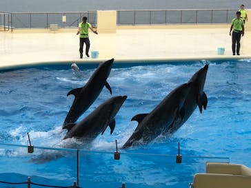 マリンワールド海の中道に投稿された画像（2020/7/5）