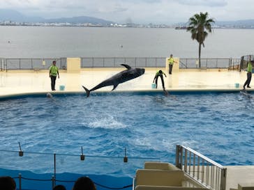 マリンワールド海の中道に投稿された画像（2020/7/5）