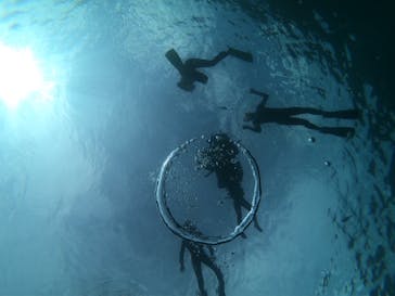 MalDive（モルダイブ）に投稿された画像（2020/7/5）