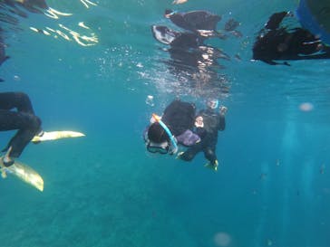 MalDive（モルダイブ）に投稿された画像（2020/7/5）