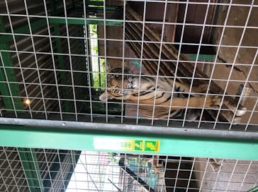 しろとり動物園に投稿された画像（2020/7/6）