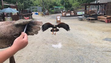 しろとり動物園に投稿された画像（2020/7/6）