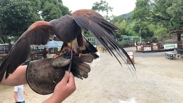 しろとり動物園に投稿された画像（2020/7/6）