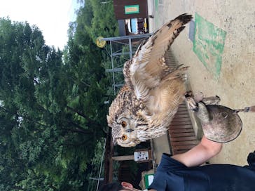 しろとり動物園に投稿された画像（2020/7/6）