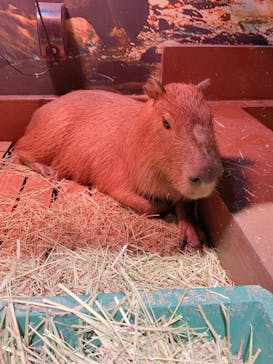 オービィ横浜に投稿された画像（2020/7/6）