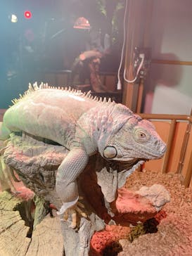 オービィ横浜に投稿された画像（2020/7/6）