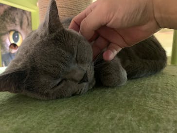 オービィ横浜に投稿された画像（2020/7/6）