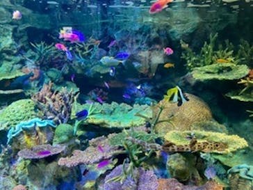 サンシャイン水族館に投稿された画像（2020/7/6）