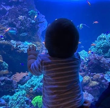 サンシャイン水族館に投稿された画像（2020/7/6）