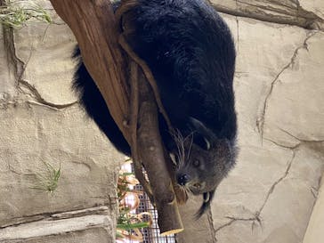 那須どうぶつ王国に投稿された画像（2020/7/6）